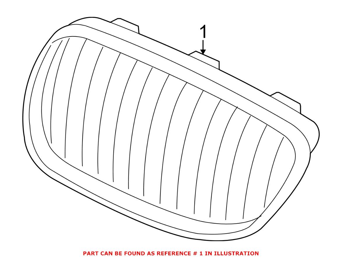 BMW Kidney Grille - Front Driver Side 51137295521